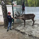 ���� ������, ������������, 52 ���� - ��������� 27 ������� 2016 � ������ ���� ����������