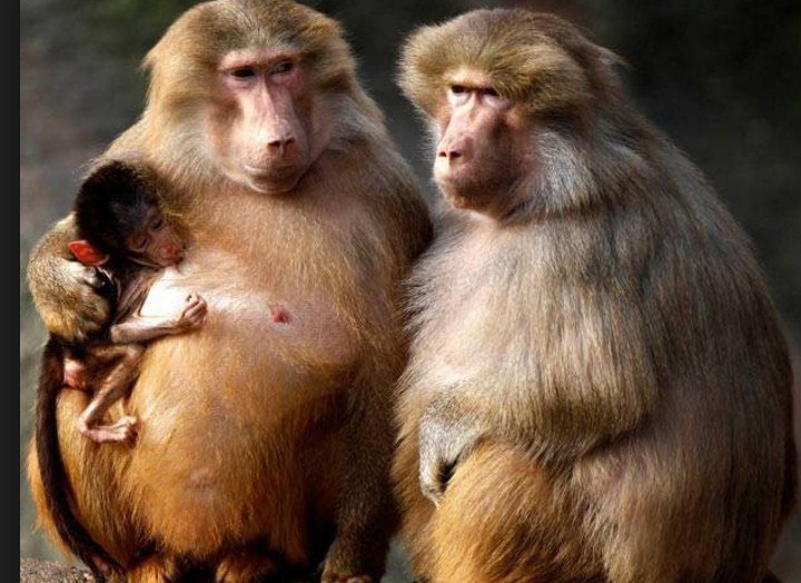    ...     ...      ... - 10