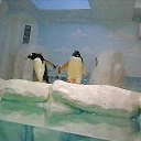 ���� �����, ��������, 62 ���� - ��������� 18 �������� 2016 � ������ �����ջ