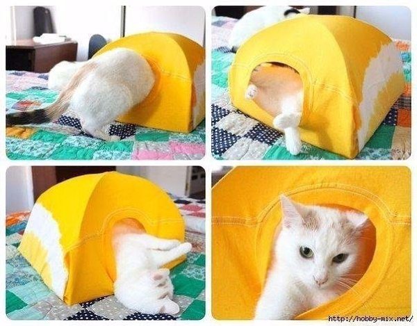 Фото из записи: