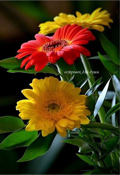    - 23  2017  11:09 - 3