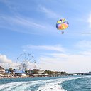 ���� �������, �������-����������, 56 ��� - ��������� 18 �������� 2016 � ������ ���� ����������