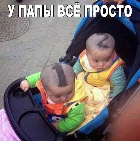 *:*Cat_t*:* - 21 ������� 2017 � 13:41