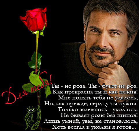 Слишком поздно любовь посетила вдруг, На изломе лет изменила жизнь мою. Почему раньше не встретил ...