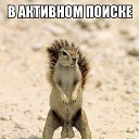 ���� ���������, ����, 55 ��� - ��������� 13 �������� 2016 � ������ ���� ����������