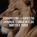 ���� ������� ����������, ��� - ��������� 5 ������� 2017 � ������ ���� ����������