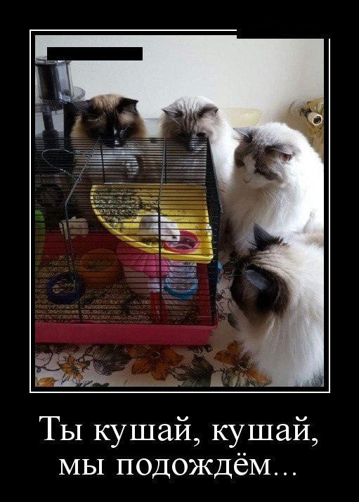 ����� - 7 ������ 2016 � 15:22