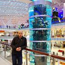 ���� �����, ������, 41 ��� - ��������� 21 ������ 2017 � ������ ���� ����������