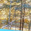 ���� ��������, ���������� - ��������� 22 ������� 2017 � ������ ����������� �� ���� "���� �� ������!�
