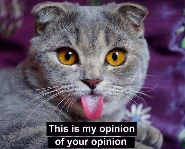 �������� �����. ��������� ������. I believe that � (� ������, ��� �) In my experience� (�� ����� ...