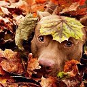 ���� Seleniya, ������, 50 ��� - ��������� 19 �������� 2016 � ������ ������ ��������