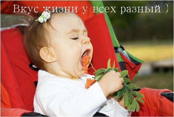 ������������ - 15 ������� 2016 � 13:07