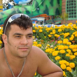 ������, ������, 44 ����