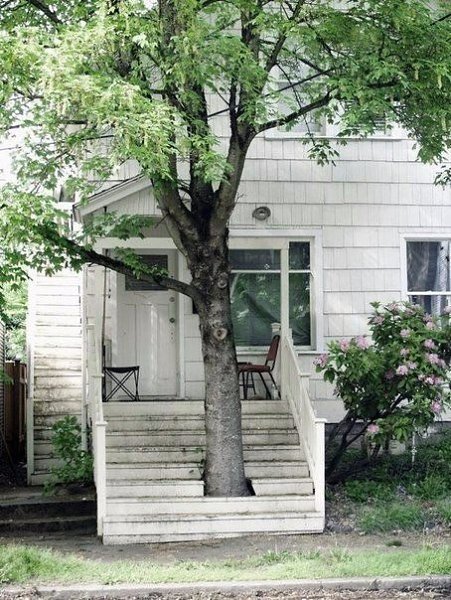 10 примеров того, как нужно относиться к природе - 3