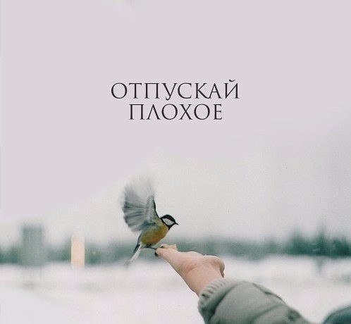 .https://fotostrana.ru/away?to=/sl/kxC2 - 24  2016  16:33