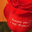 ���� �������, ������ - ��������� 4 ������� 2017 � ������ ������ ��������