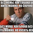 ���� Ce����, ������, 49 ��� - ��������� 3 ������� 2017 � ������ ���� ����������