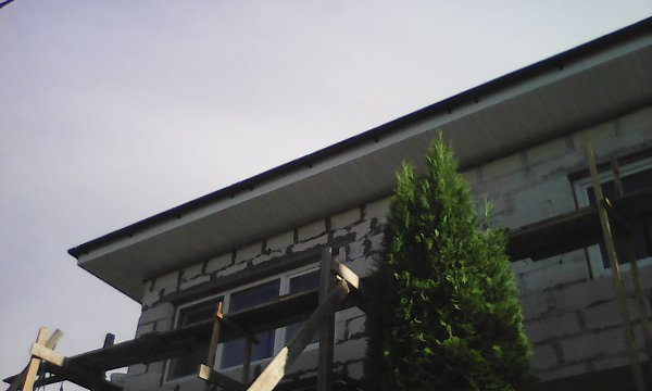 ���� - 24 ������ 2017 � 13:52 - 161