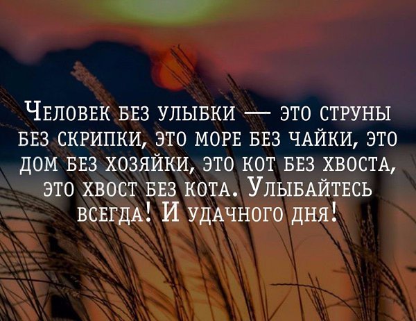 .Life.Is.Life. - 21  2016  11:55
