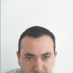 �����, ������, 49 ���