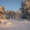 ���� �����, ��������� - ��������� 24 ������ 2017 � ������ ���� ����������