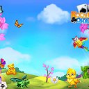 ���� �������, �������, 52 ���� - ��������� 6 ����� 2017 � ������ �������� �������-�������