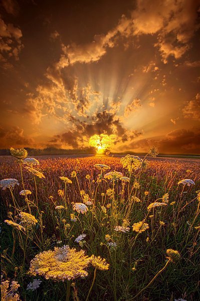    . Phil Koch - 8