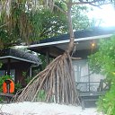 ��������. ��������� �������. �� ������� ���� ����������