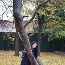 ���� �, ������, 86 ��� - ��������� 8 ������� 2016 � ������ ���� ����������