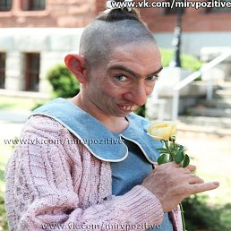 �����, ���������, 54 ����