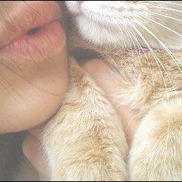 ���, ������