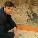  Renato, - -  29  2016    