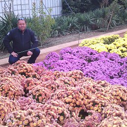 ������, �����������, 60 ���