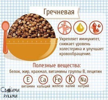 Полезные свойства каш