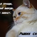 ���� �����, ���������� - ��������� 14 ������� 2016 � ������ ������ ��������