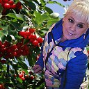 ���� ������, ���������� ����� - ��������� 15 ������� 2016