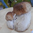 ���� ������, ���������, 65 ��� - ��������� 23 ����� 2017 � ������ �������