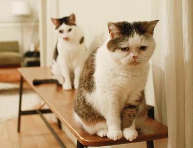 ���������� �� ������ - 3