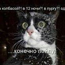 ���� �������, �����������-��-����� - ��������� 28 ������ 2017 � ������ ���� ����������