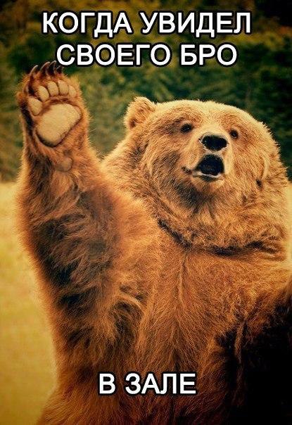  -   - 15  2016  19:58