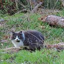  , , 60  -  26  2017   ,21.01.17. &quot;&quot;))