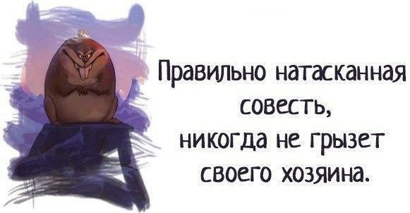   - 12  2017  19:34