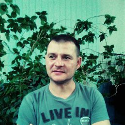 ���� -Vip-, �������, 47 ��� - ��������� 29 ������� 2016