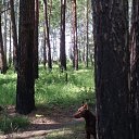 ���� Lada San, ����������� - ��������� 5 ������� 2017 � ������ ���� ����������