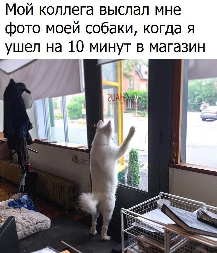  - 24  2016  02:03