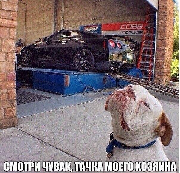 ***Victoria Viktorovna*** - 9  2017  15:23