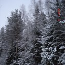 ���� ������, ���������, 62 ���� - ��������� 29 ������ 2017 � ������ ���� ����������