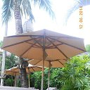    -  ,  -  8  2017    2014.  Zazen.  12-.