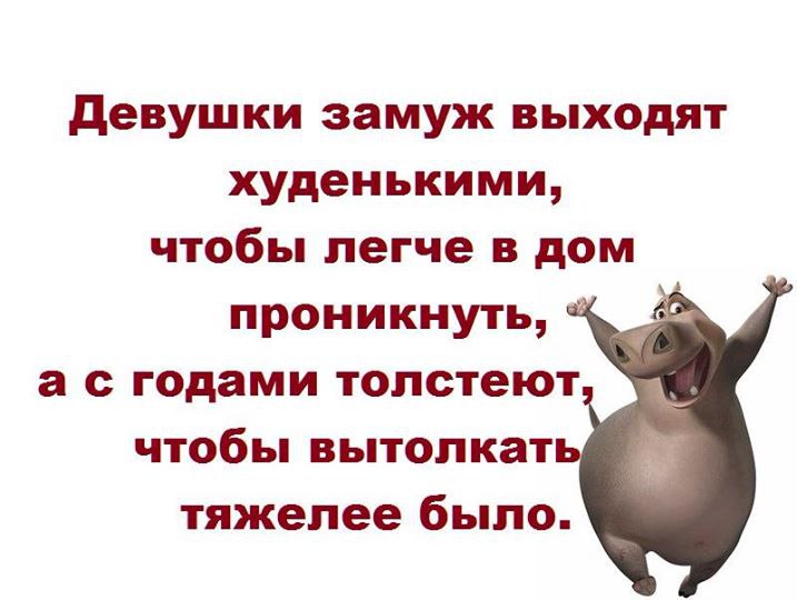   - 31  2016  12:18
