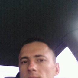 ��������, �������, 36 ���